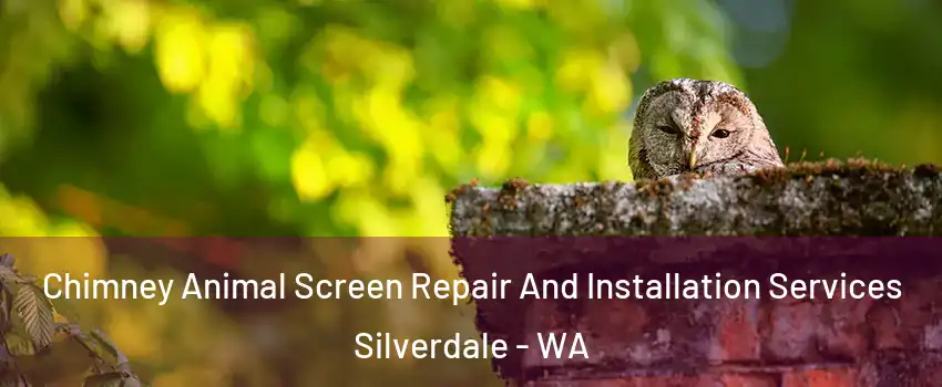  Chimney Animal Screen Repair And Installation Services Silverdale - WA