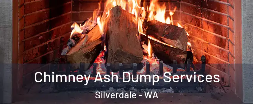  Chimney Ash Dump Services Silverdale - WA