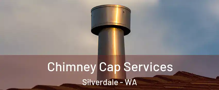  Chimney Cap Services Silverdale - WA