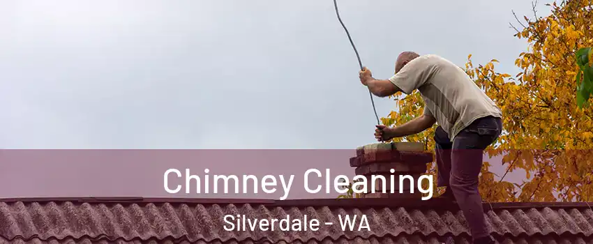  Chimney Cleaning Silverdale - WA
