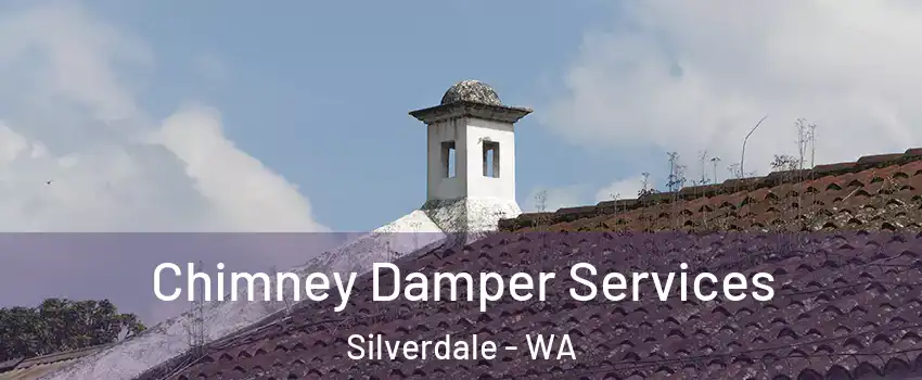  Chimney Damper Services Silverdale - WA
