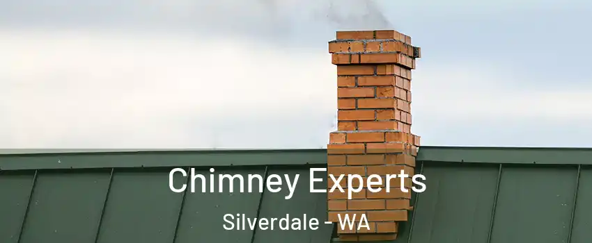  Chimney Experts Silverdale - WA