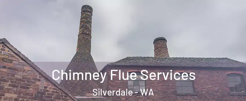  Chimney Flue Services Silverdale - WA