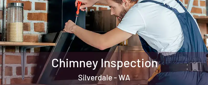  Chimney Inspection Silverdale - WA