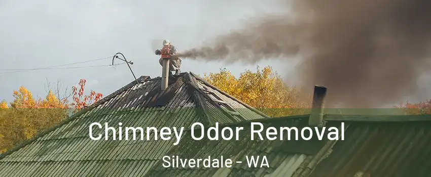  Chimney Odor Removal Silverdale - WA