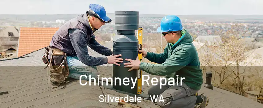  Chimney Repair Silverdale - WA