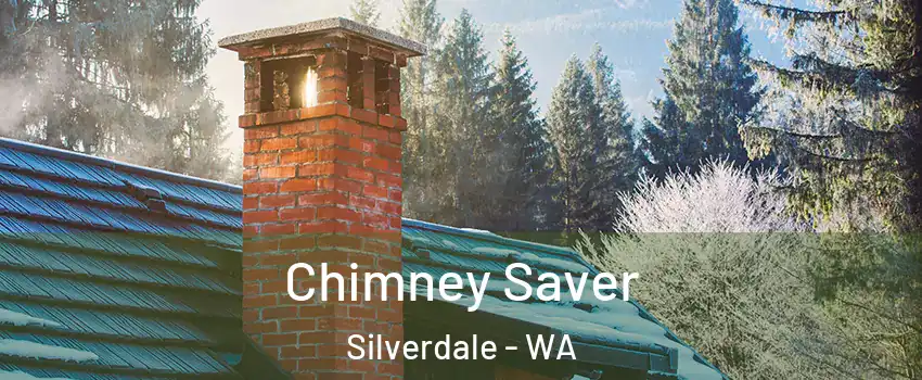  Chimney Saver Silverdale - WA