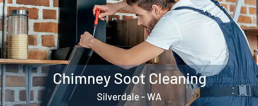  Chimney Soot Cleaning Silverdale - WA