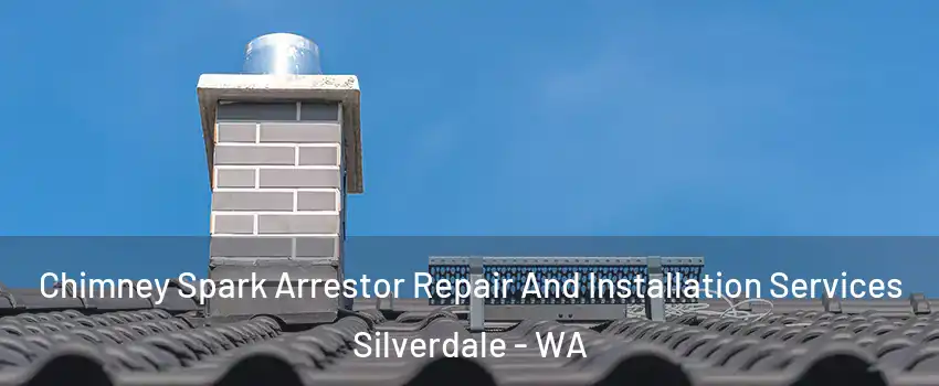  Chimney Spark Arrestor Repair And Installation Services Silverdale - WA