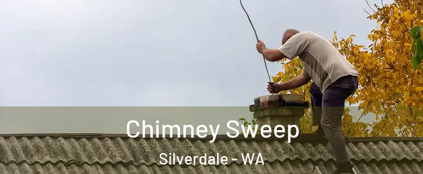  Chimney Sweep Silverdale - WA