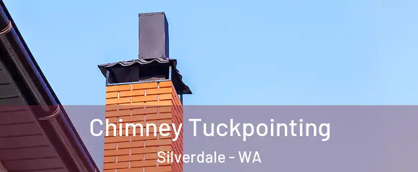  Chimney Tuckpointing Silverdale - WA