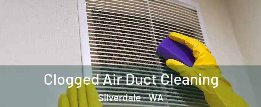  Clogged Air Duct Cleaning Silverdale - WA