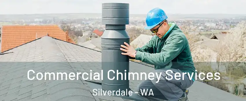  Commercial Chimney Services Silverdale - WA