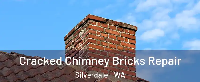  Cracked Chimney Bricks Repair Silverdale - WA