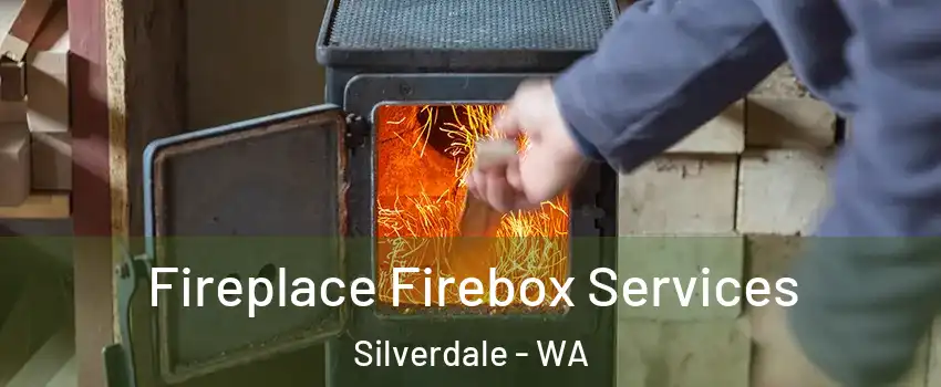  Fireplace Firebox Services Silverdale - WA