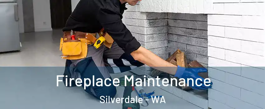  Fireplace Maintenance Silverdale - WA