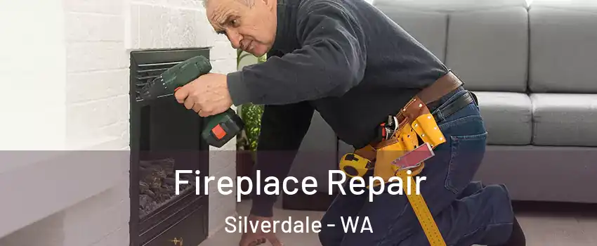  Fireplace Repair Silverdale - WA