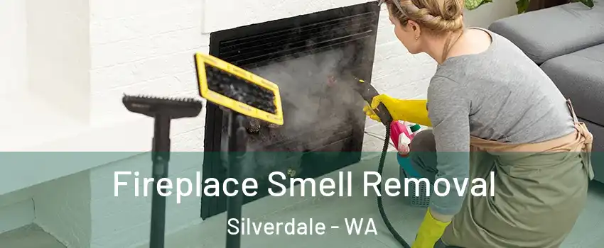  Fireplace Smell Removal Silverdale - WA