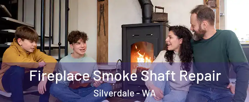  Fireplace Smoke Shaft Repair Silverdale - WA