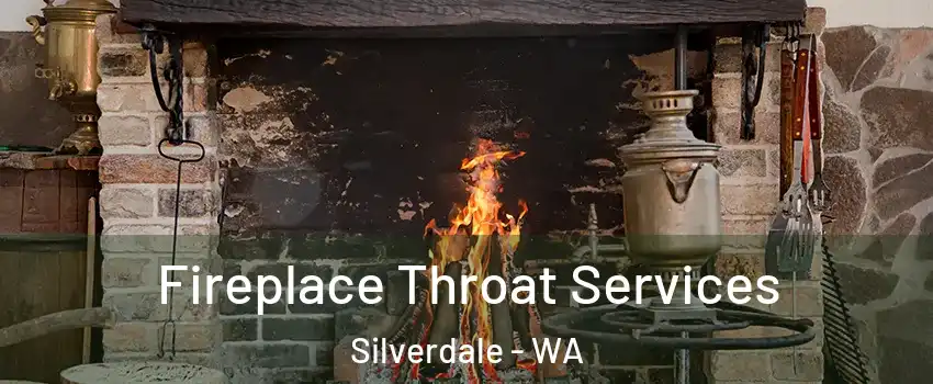  Fireplace Throat Services Silverdale - WA