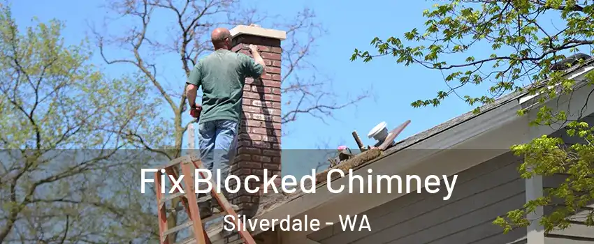  Fix Blocked Chimney Silverdale - WA