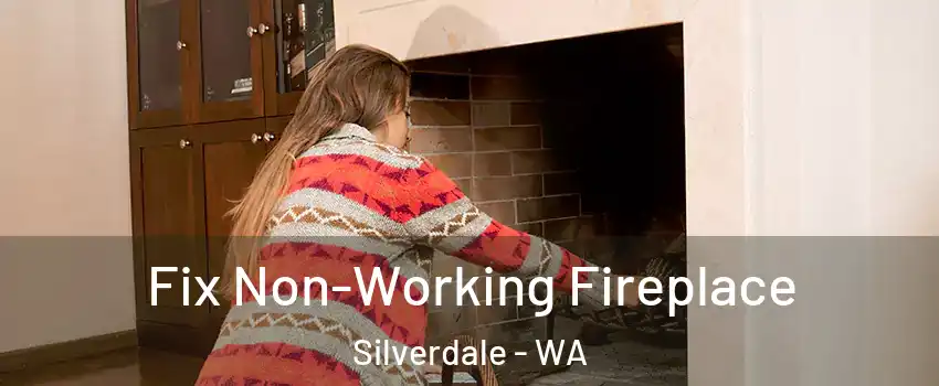  Fix Non-Working Fireplace Silverdale - WA
