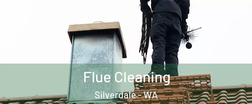  Flue Cleaning Silverdale - WA