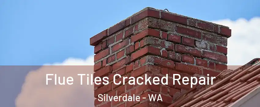  Flue Tiles Cracked Repair Silverdale - WA
