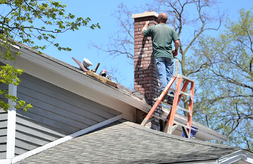 Chimney & Fireplace Inspections Services in Silverdale, WA