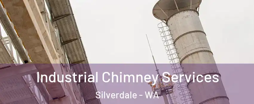  Industrial Chimney Services Silverdale - WA