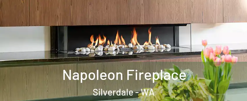  Napoleon Fireplace Silverdale - WA