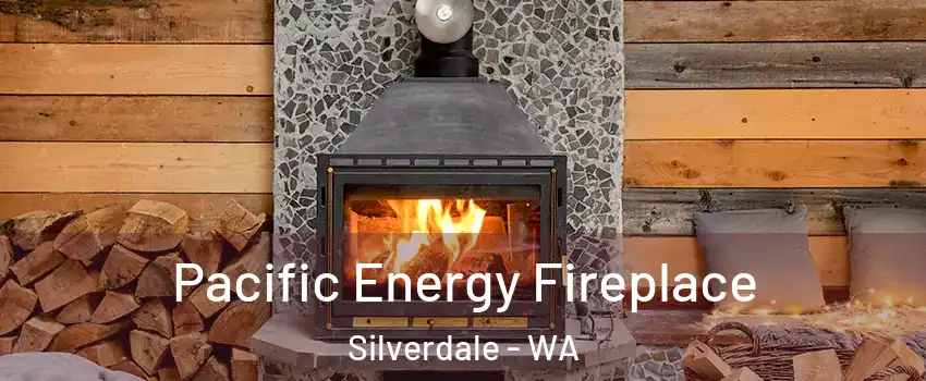  Pacific Energy Fireplace Silverdale - WA