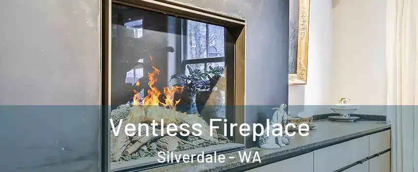  Ventless Fireplace Silverdale - WA